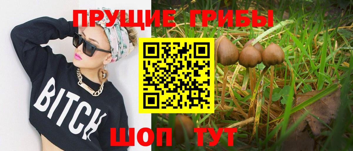 Псилоцибиновые грибы Psilocybine cubensis Алатырь