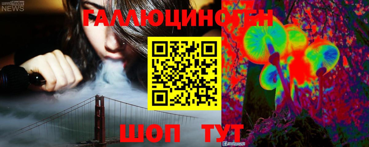 Галлюциногенные грибы Cubensis  Псилоцибиновые грибы GOLDEN TEACHER  Алатырь  Вход с VPN 
